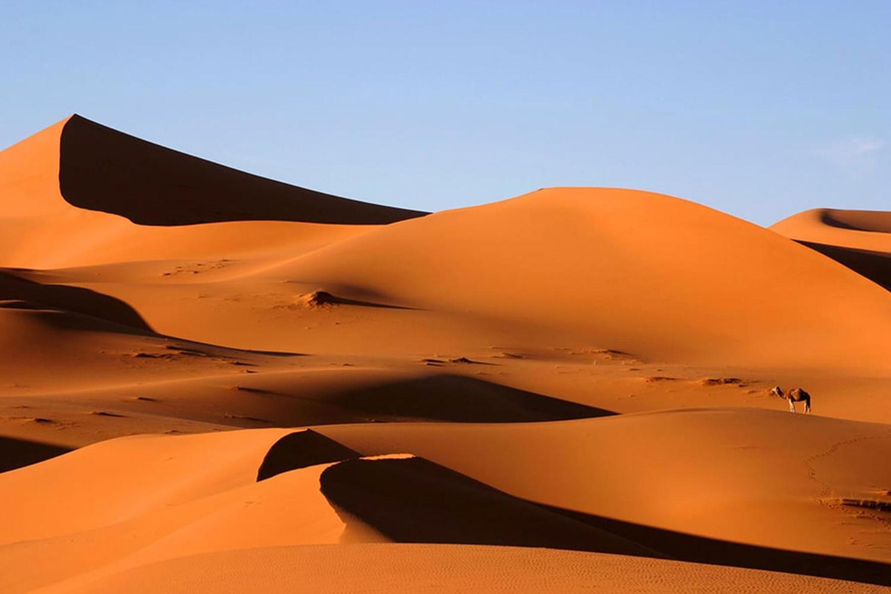 Desert Chegaga Luxury Camp El Gouera Екстериор снимка