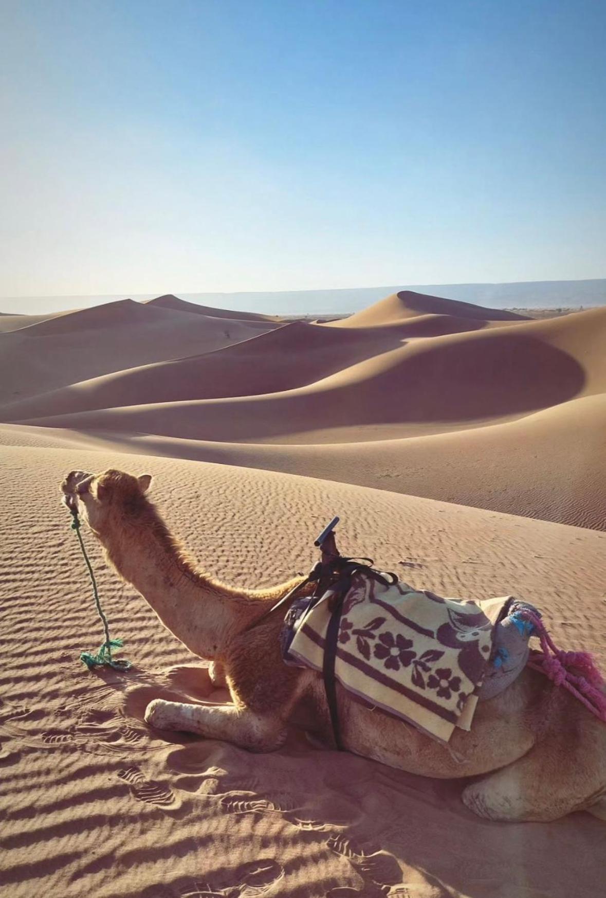 Desert Chegaga Luxury Camp El Gouera Екстериор снимка
